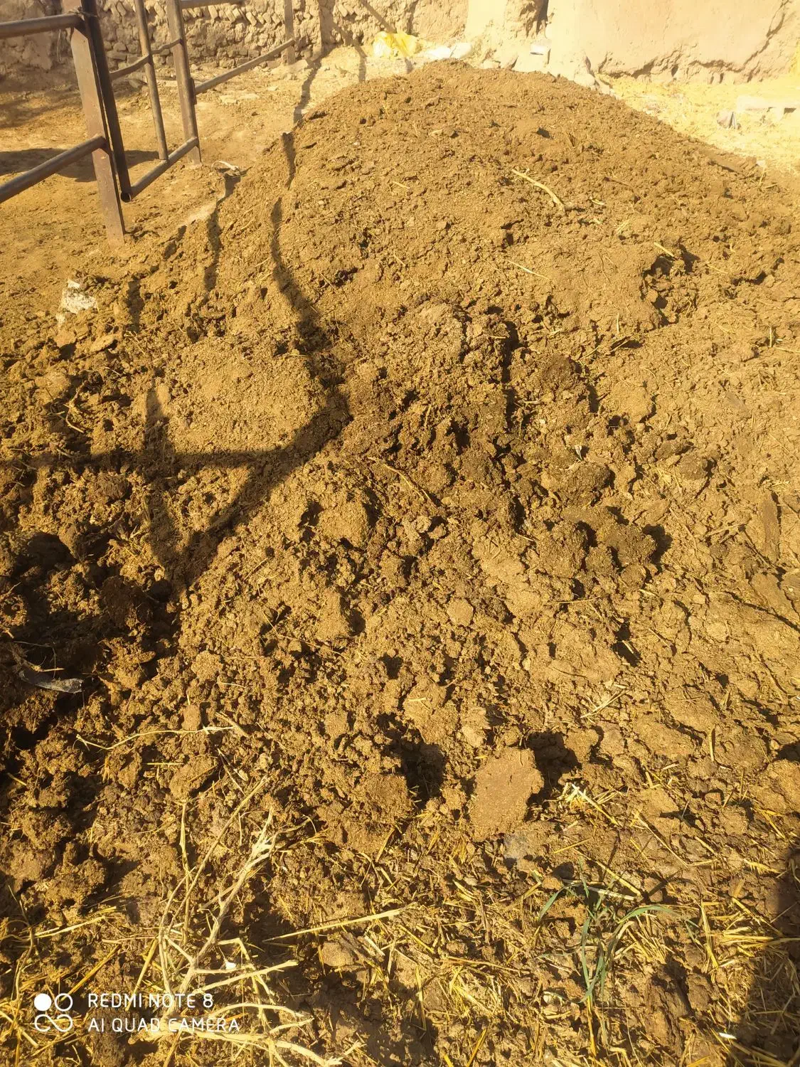 کود گاوی. انبار گاو|گل و گیاه طبیعی|نصر آباد, |دیوار