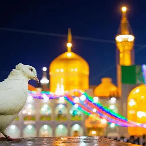سفر مشهد مقدس *|تور و چارتر|شیراز, قصرالدشت|دیوار