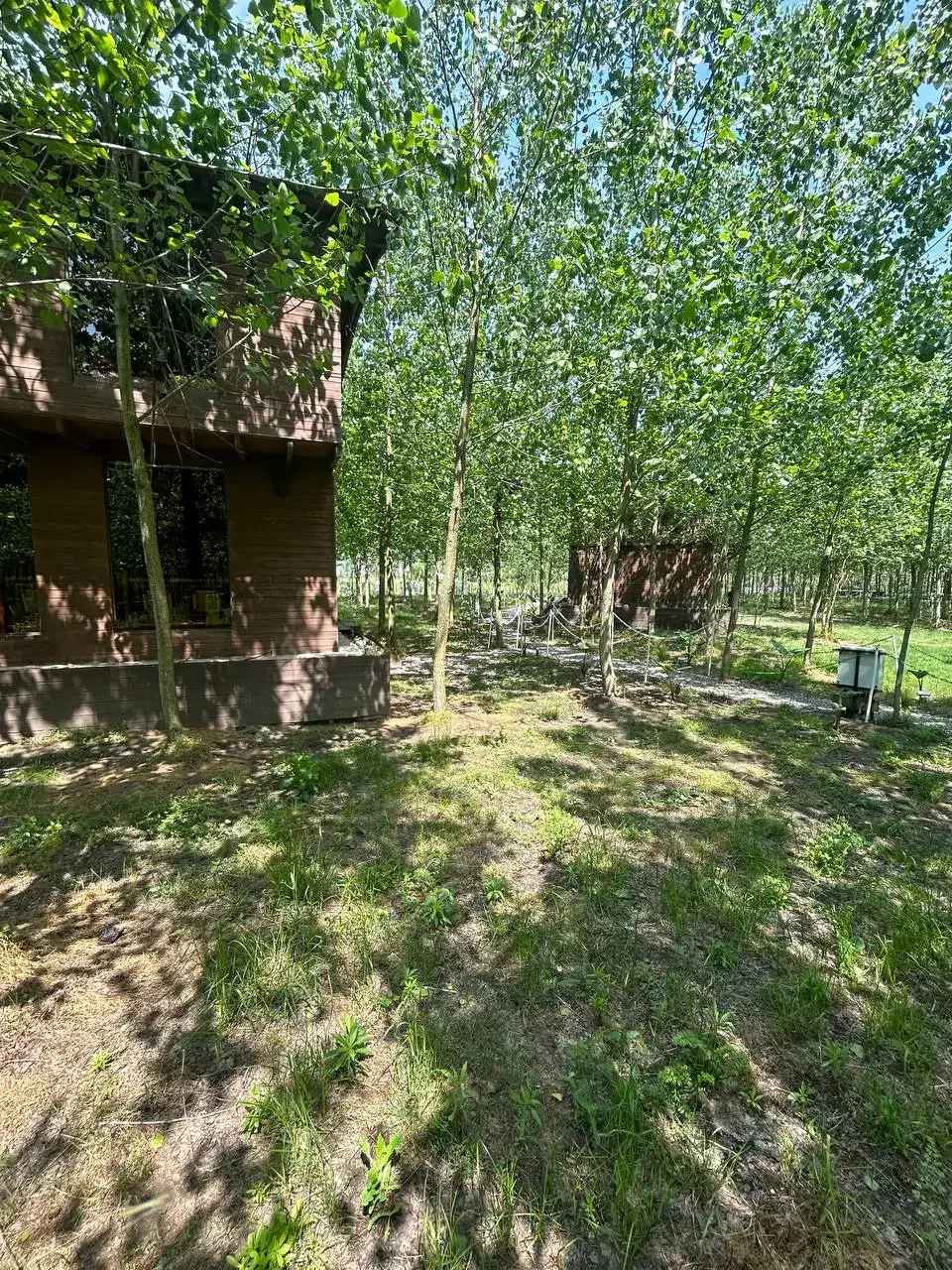 منطقه ای برای سلیقه های دقیق و خاص|فروش خانه و ویلا|قرچک, مهدیه|دیوار