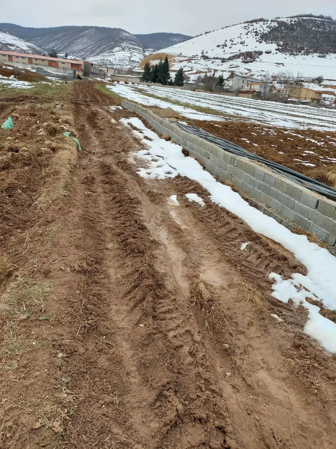 زمین  بافت شهری کوهستانی|فروش زمین و ملک کلنگی|کیاسر, |دیوار