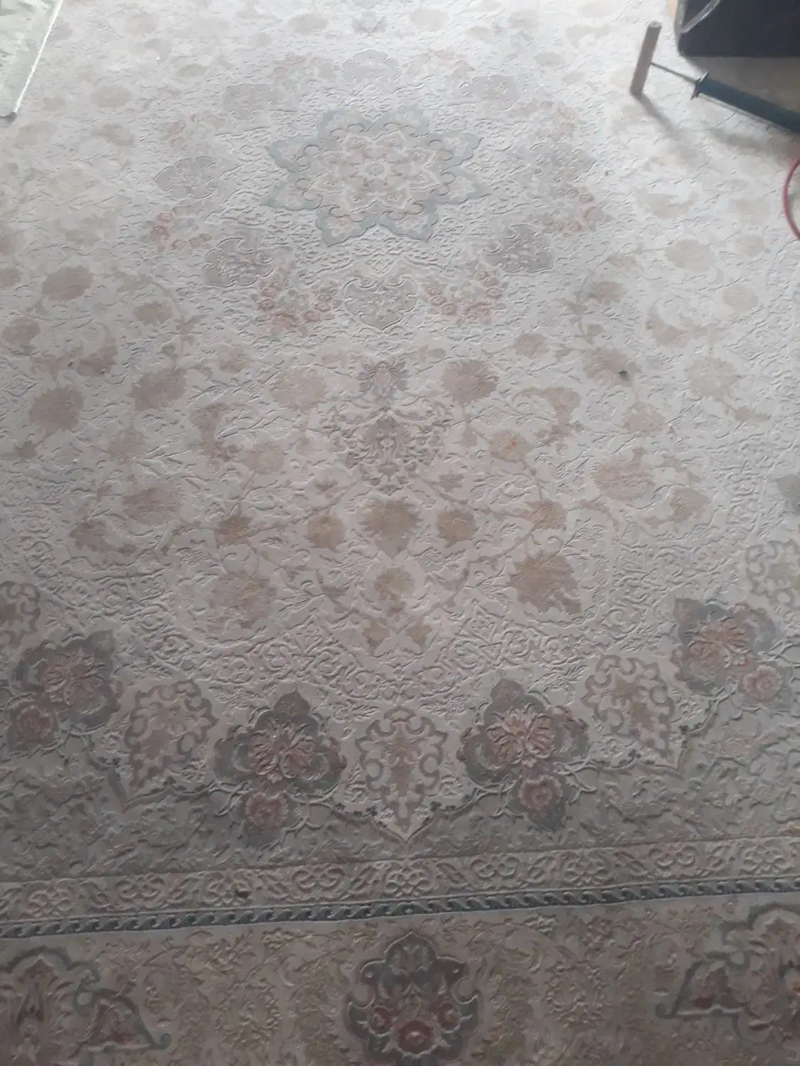 فرش ۱۲ متری نخ تورک|فرش|مبارکه, |دیوار