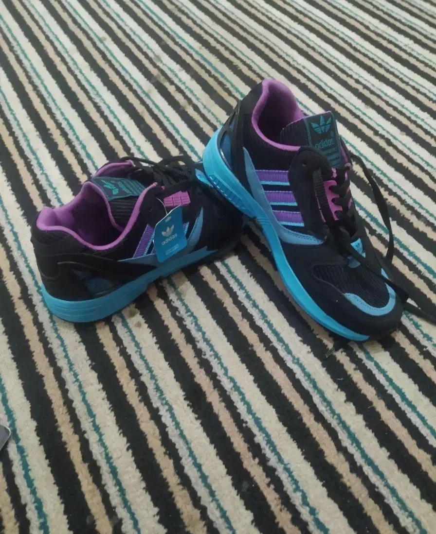 کفش|کیف، کفش، کمربند|جوکار, |دیوار