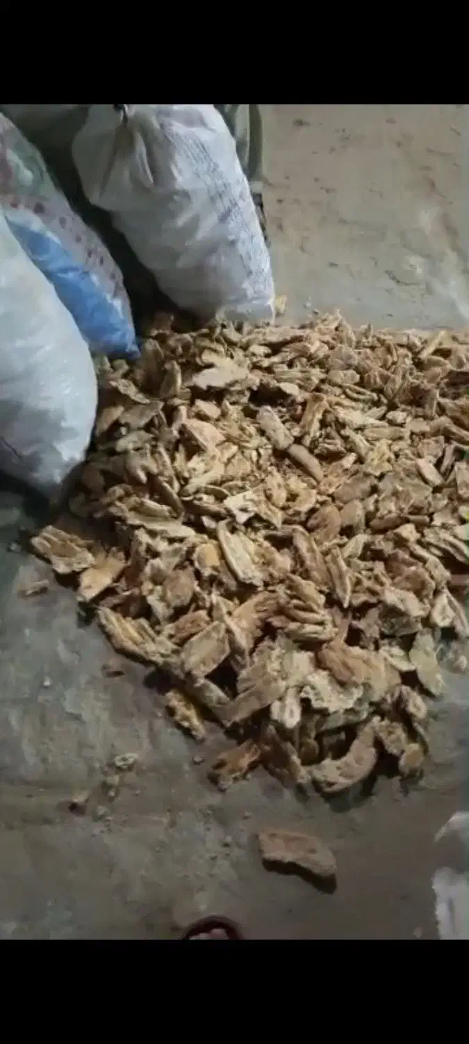 نان خشک|خوردنی و آشامیدنی|تربتحیدریه, بوستان باغ ملی|دیوار