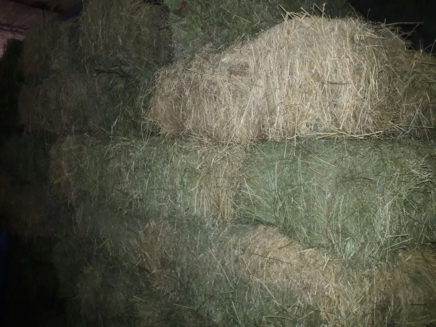 یونجه|لوازم جانبی حیوانات|اسدآباد, |دیوار