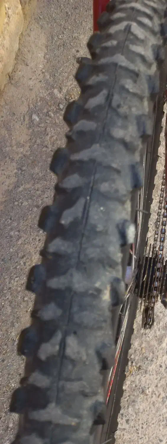 دوچرخه ۲۶|دوچرخه، اسکیت، اسکوتر|تربت جام, میان جام|دیوار