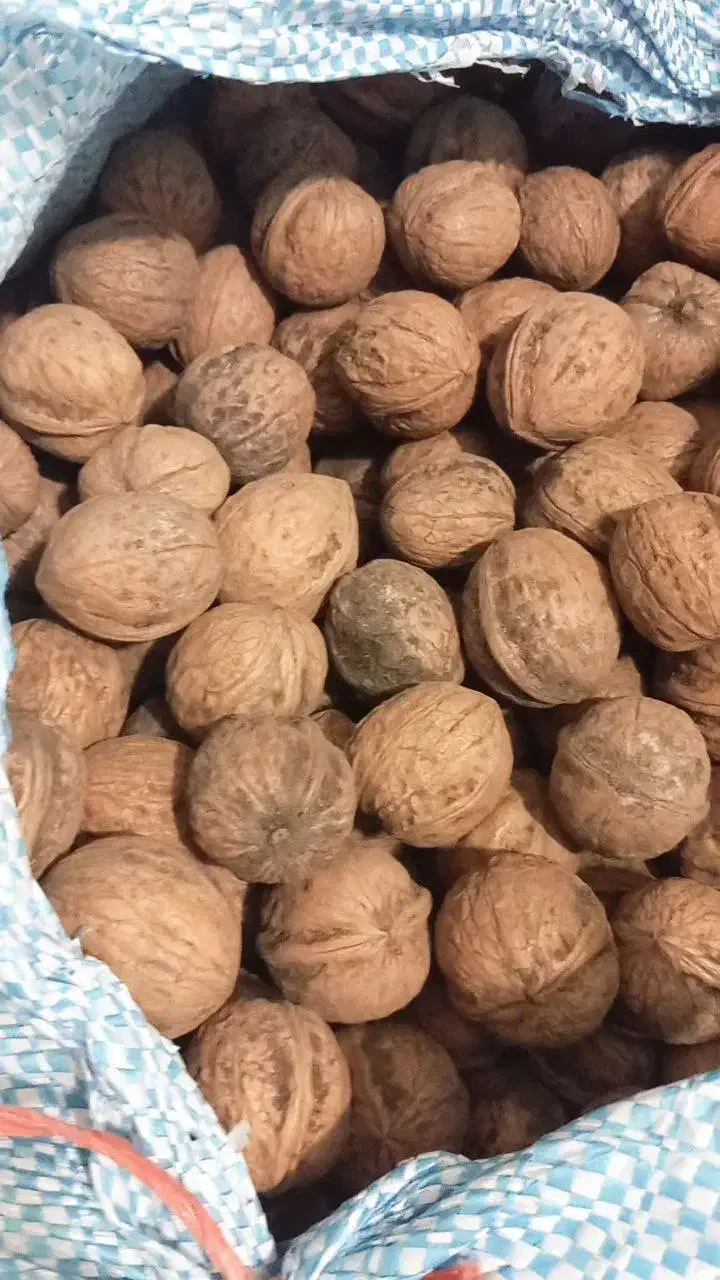 گردو الیگودرر|خوردنی و آشامیدنی|اهواز, پردیس|دیوار