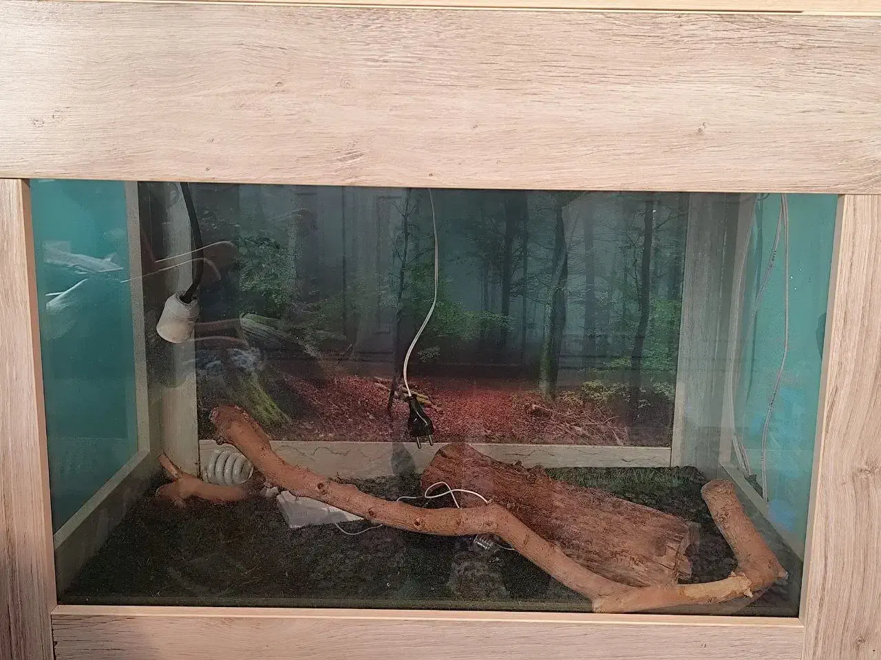 تراریوم خزنده|لوازم جانبی حیوانات|تهران, درکه|دیوار