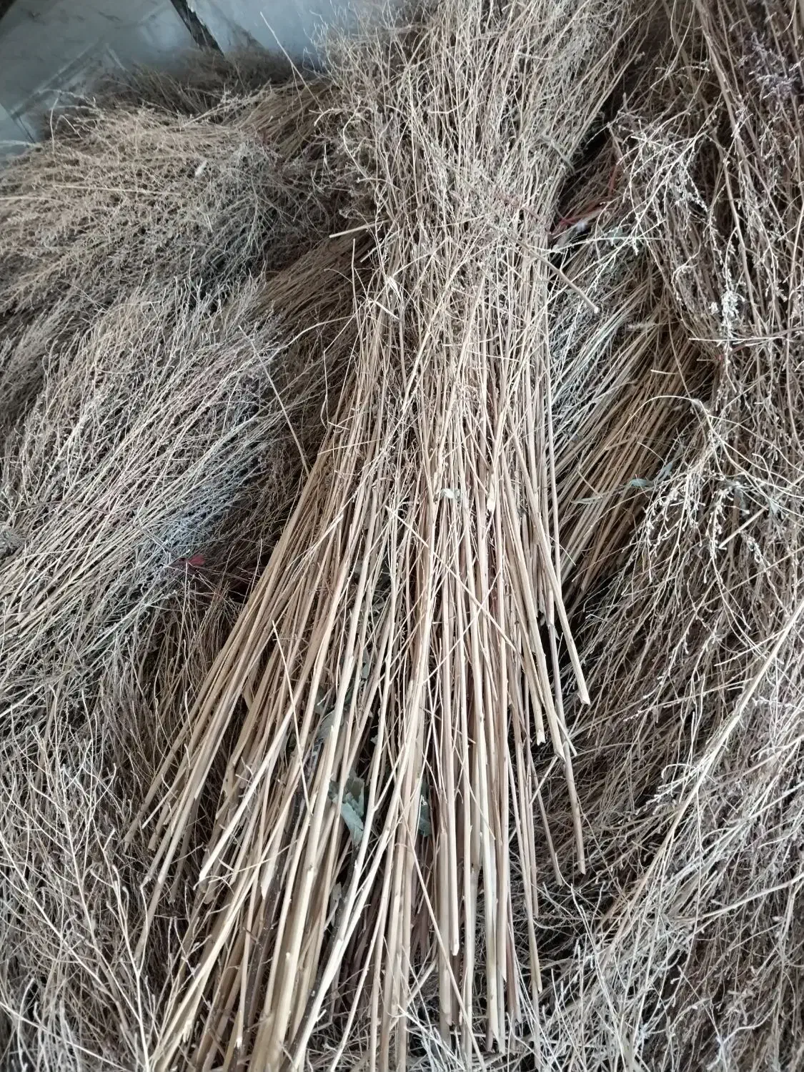 جارو شهرداری|لوازم نظافت|نهاوند, |دیوار