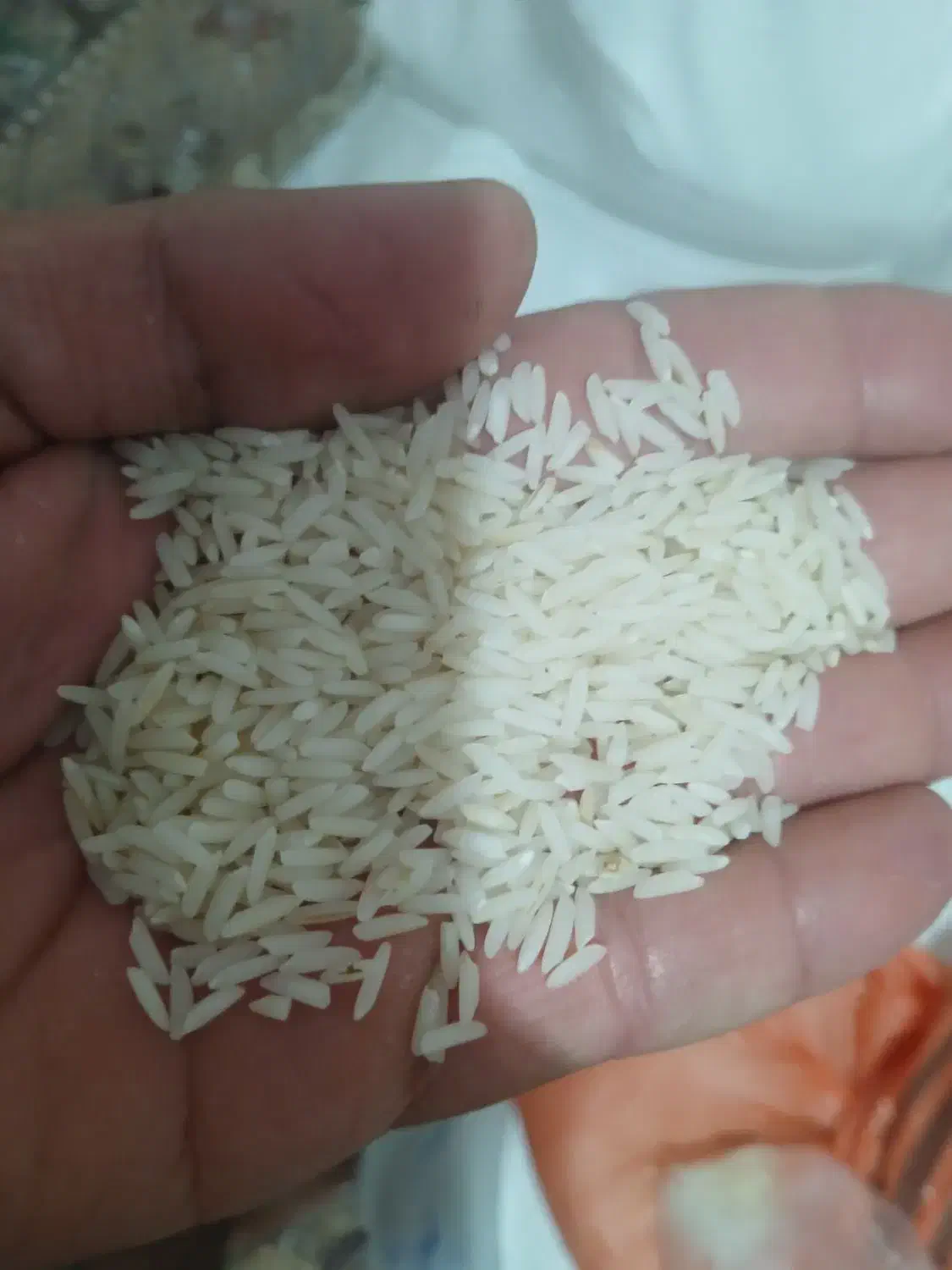 برنج هاشمی|خوردنی و آشامیدنی|شفت, |دیوار