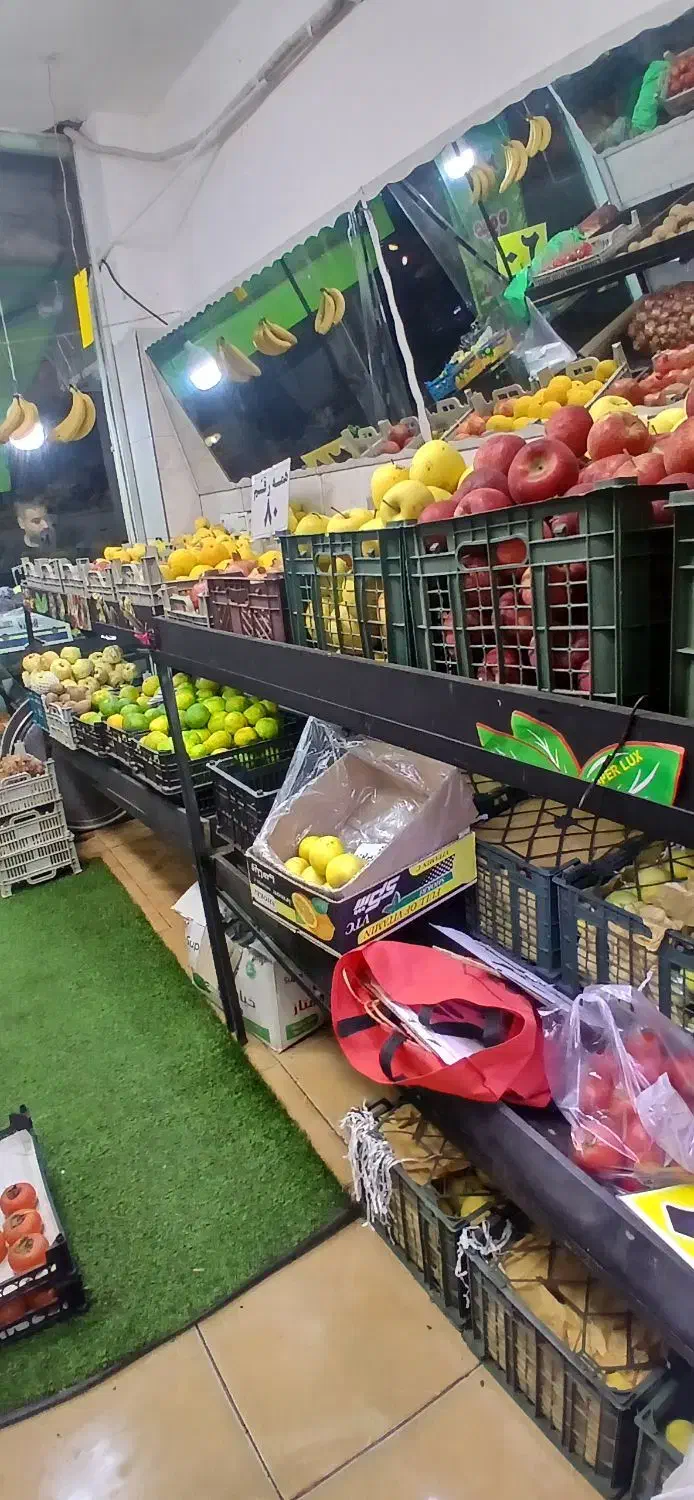 استند میوه فروشی|فروشگاه و مغازه|رشت, حمیدیان|دیوار