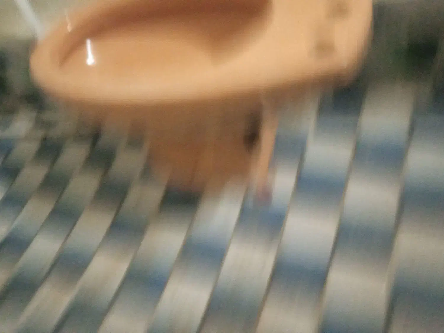 توالت فرنگی|لوازم سرویس بهداشتی|زنجان, |دیوار