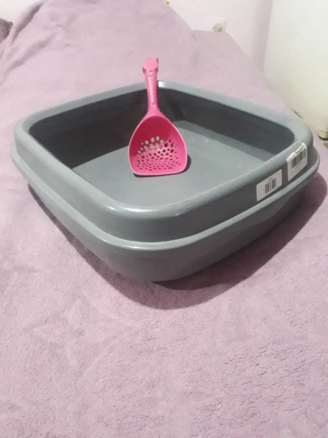 ظرف خاک گربه با بیلچه نو نو|گربه|تهران, سازمان برنامه جنوبی|دیوار