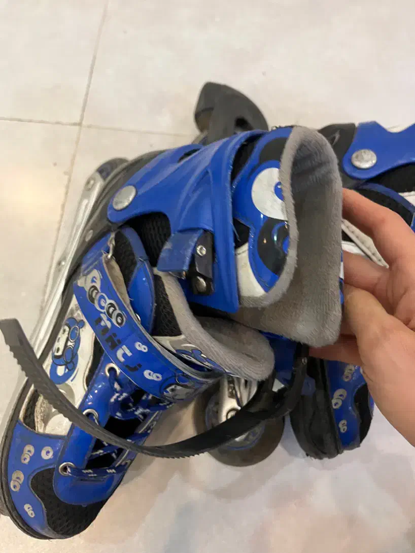 کفش اسکیت|دوچرخه، اسکیت، اسکوتر|ری, صفاییه (چشمه علی)|دیوار