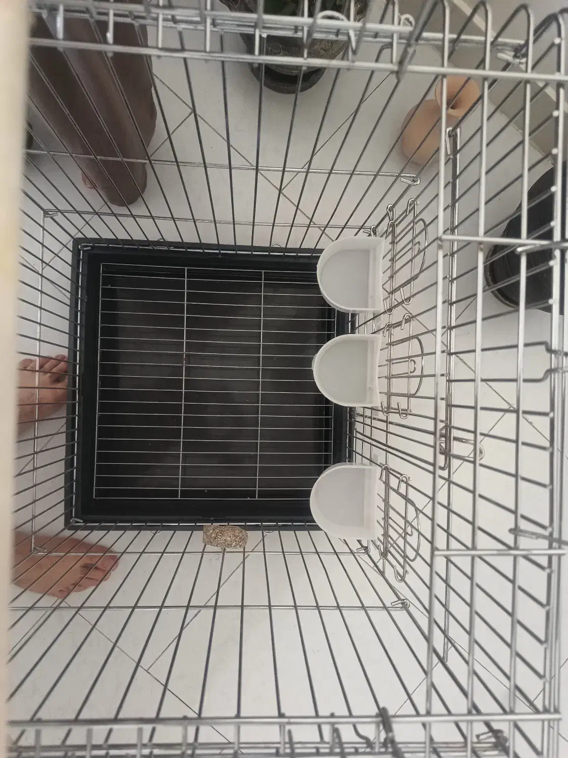 قفس استیل ضخیم  ضد زنگ و درجه یک خارجی کد ۱۰۳۳|لوازم جانبی حیوانات|پردیس, فاز ۱|دیوار