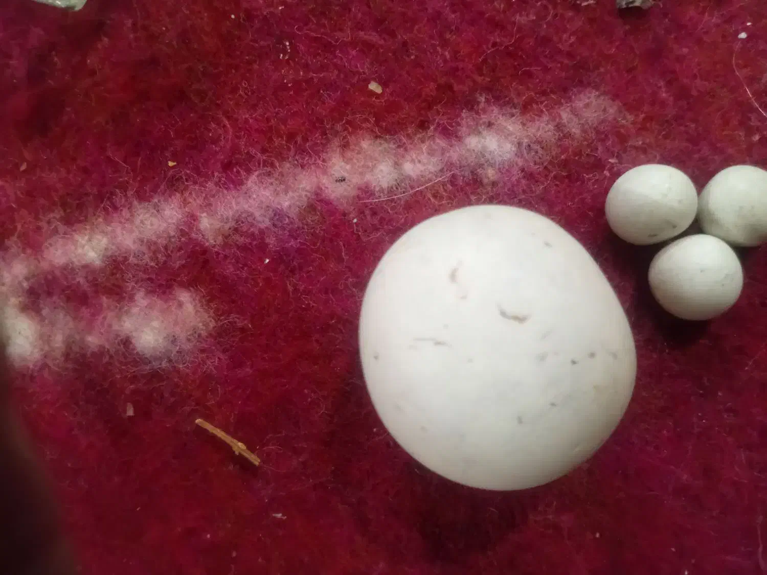 سنگ آسیاب|جواهرات|تهران, گلستان (شهرک راه آهن)|دیوار