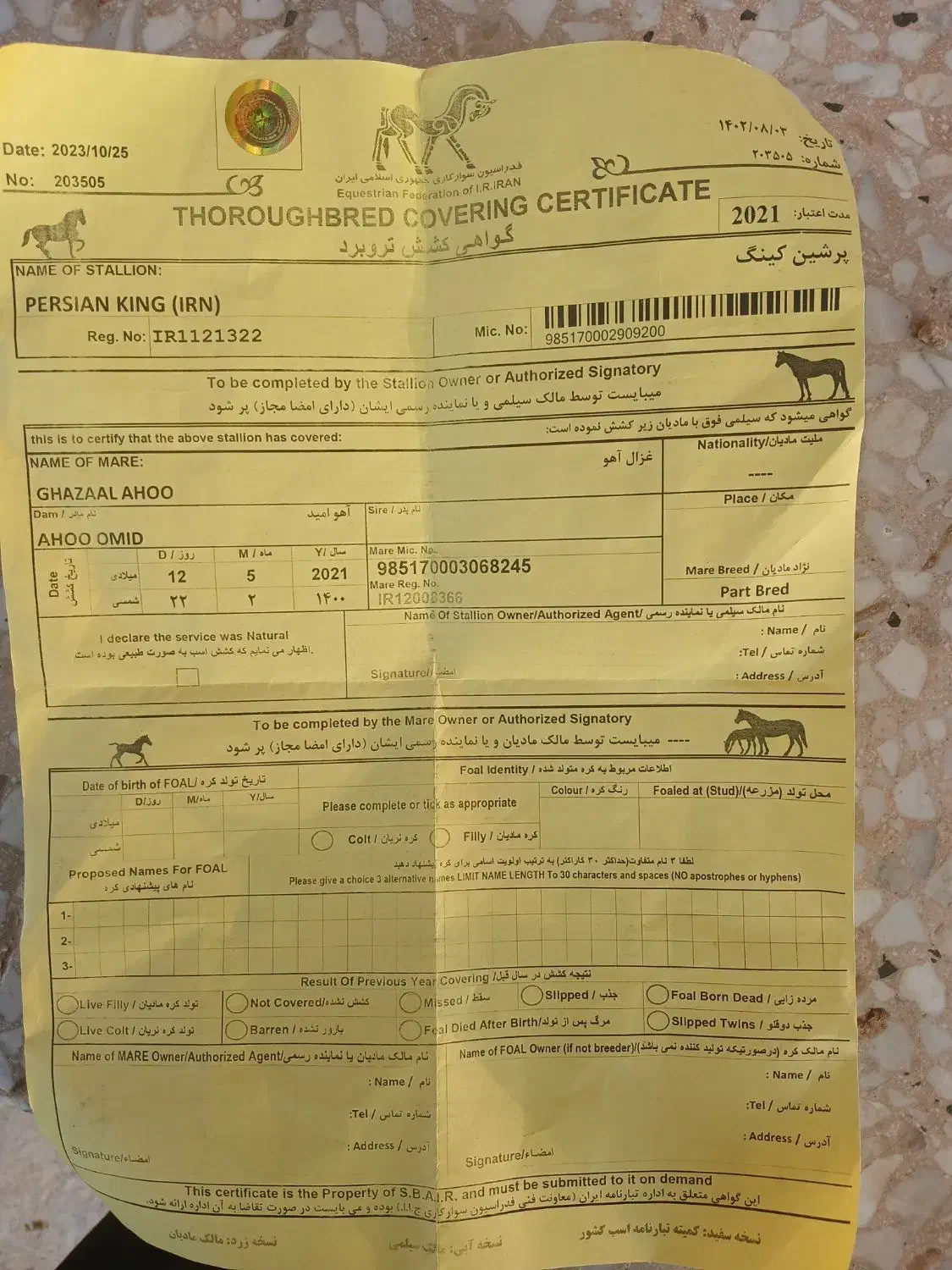 اسب|اسب و تجهیزات اسب‌سواری|گنبد کاووس, |دیوار