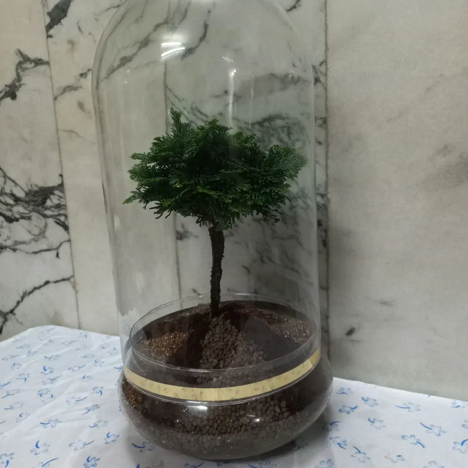 تراریوم بنسای نانا|گل و گیاه طبیعی|خمینی‌شهر, |دیوار