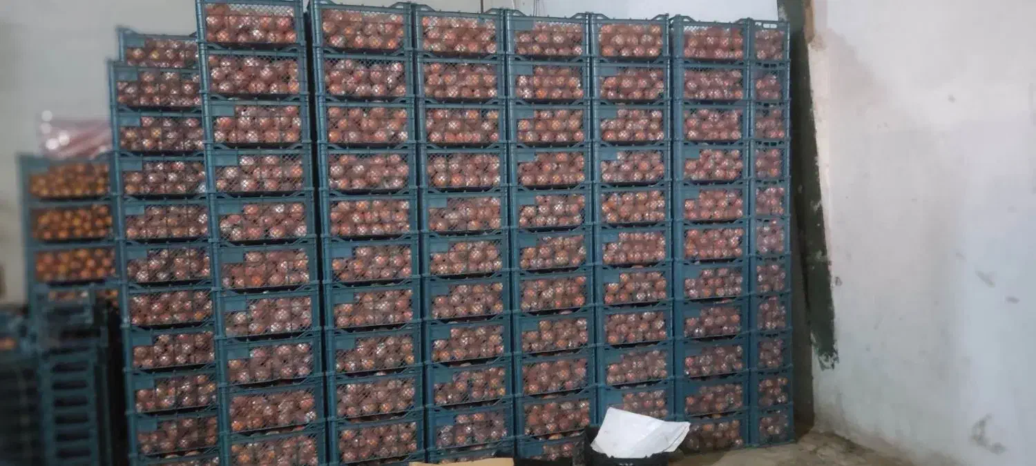 سبد|ظروف نگهدارنده، پلاستیکی، یک‌بارمصرف|سورک, |دیوار