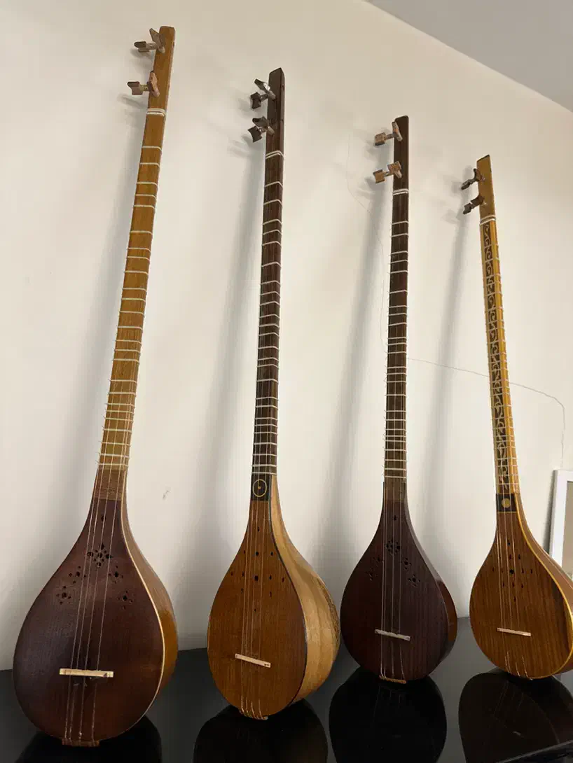 سه تار|سازهای سنتی|تهران, چیتگر شمالی|دیوار