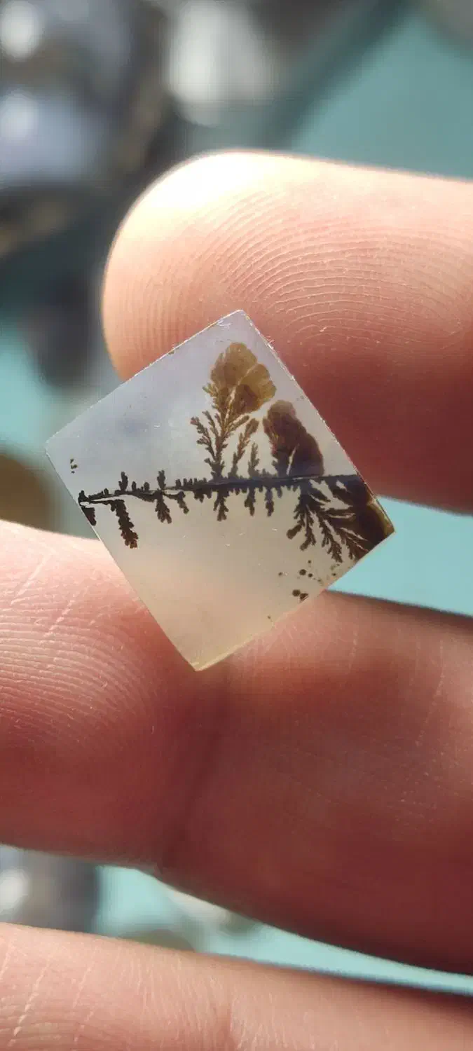 ورق بزنید حراجی شجر|جواهرات|شهریار, شهریار|دیوار