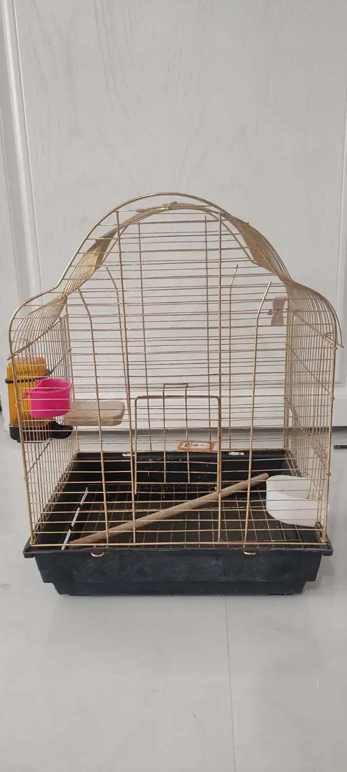 دو عدد قفس|لوازم جانبی حیوانات|مشهد, فارغ التحصیلان|دیوار