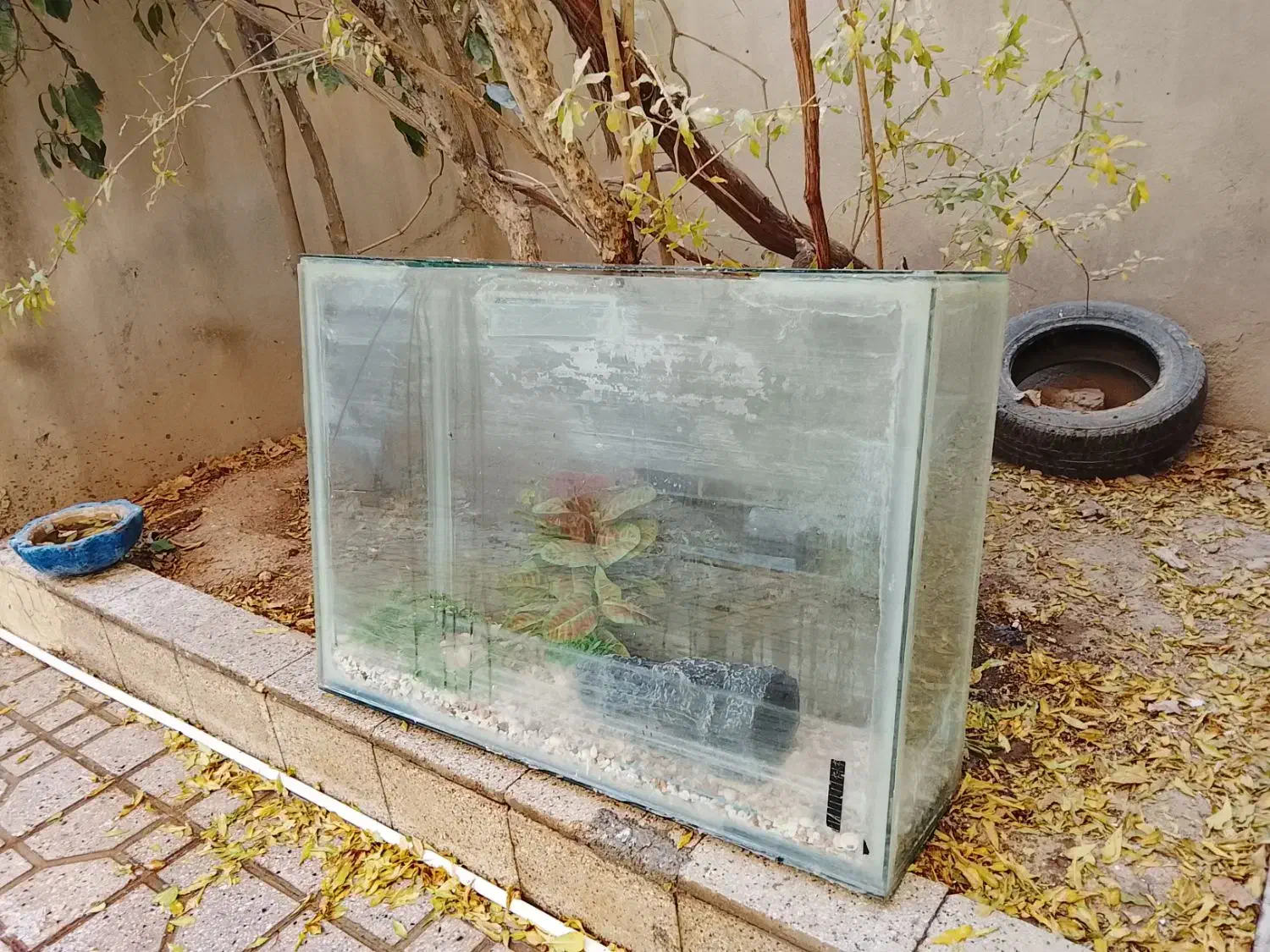 آکواریوم|ماهی|پاکدشت, حصار امیر|دیوار