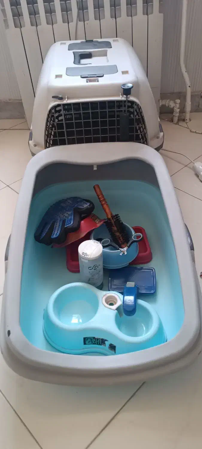 وسایل مربوط ب نگهداری گربه در خانه|لوازم جانبی حیوانات|اندیشه, اندیشه فاز ۳|دیوار