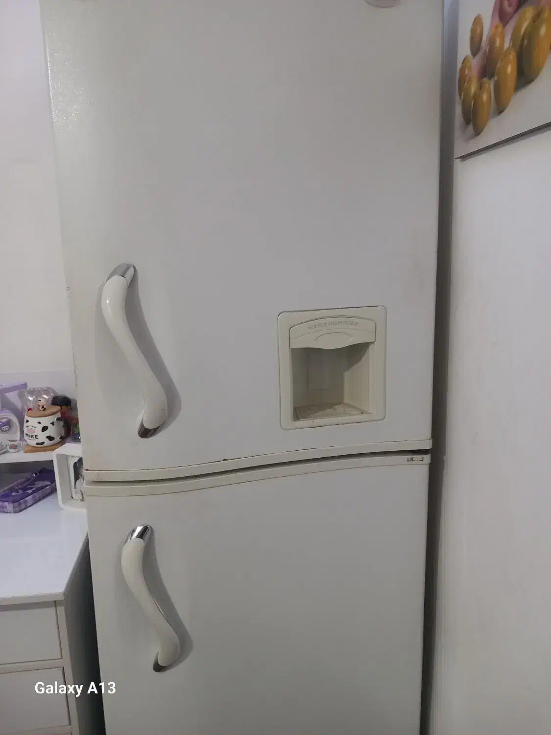 یخچال فریزر|یخچال و فریزر|رباط‌کریم, شترخوار|دیوار