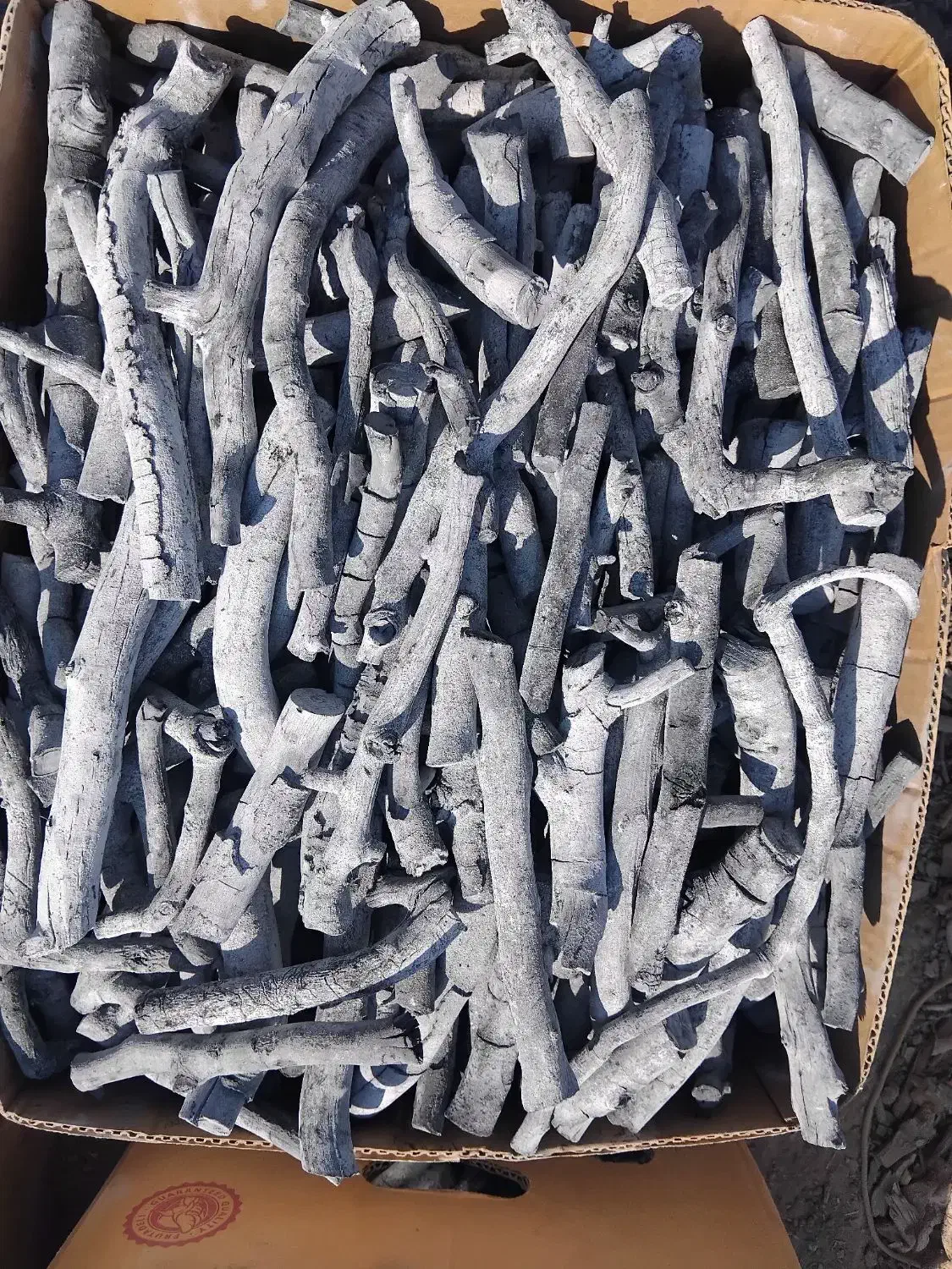 زغال پسته(سرشاخ-قلم)|عمده‌فروشی|سیرجان, |دیوار