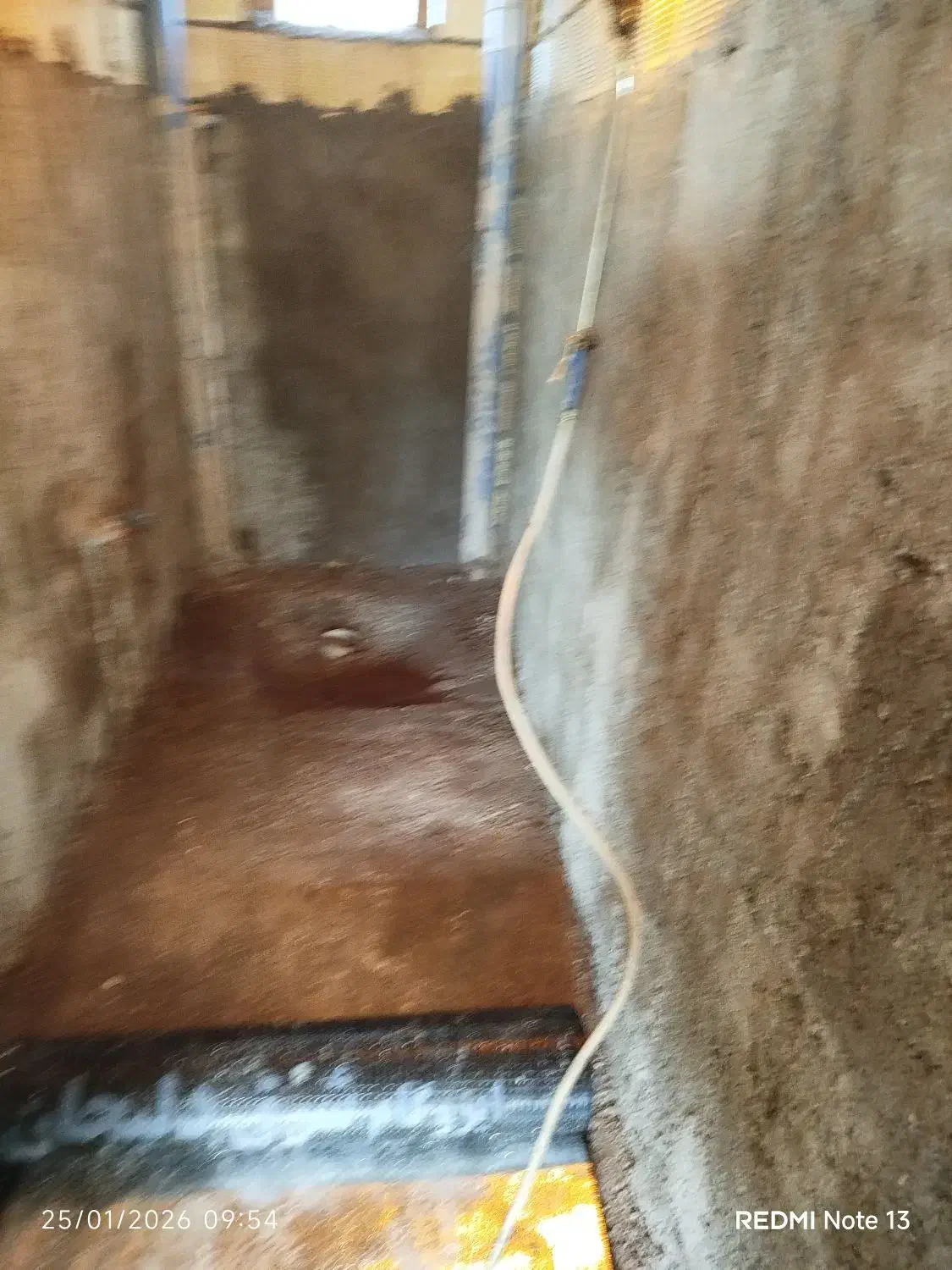 نصب ایزوگام|خدمات پیشه و مهارت|شلمان, |دیوار