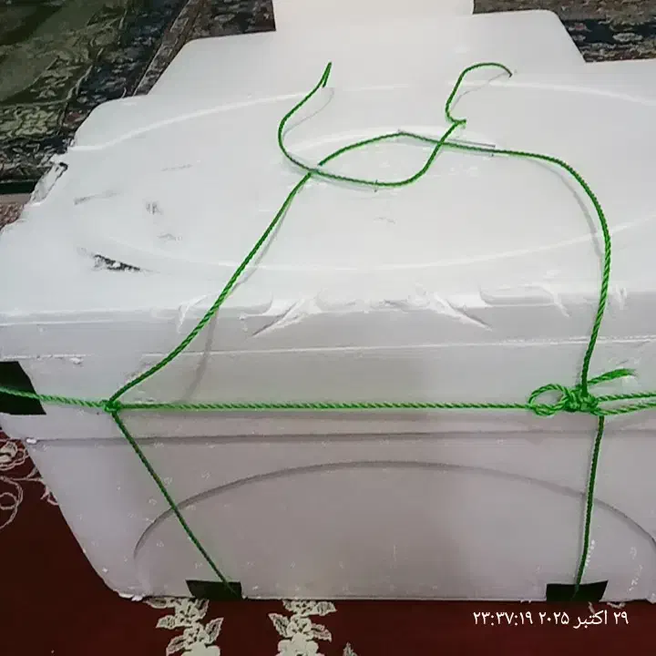 باکس یخدون|ظروف نگهدارنده، پلاستیکی، یک‌بارمصرف|بم, |دیوار