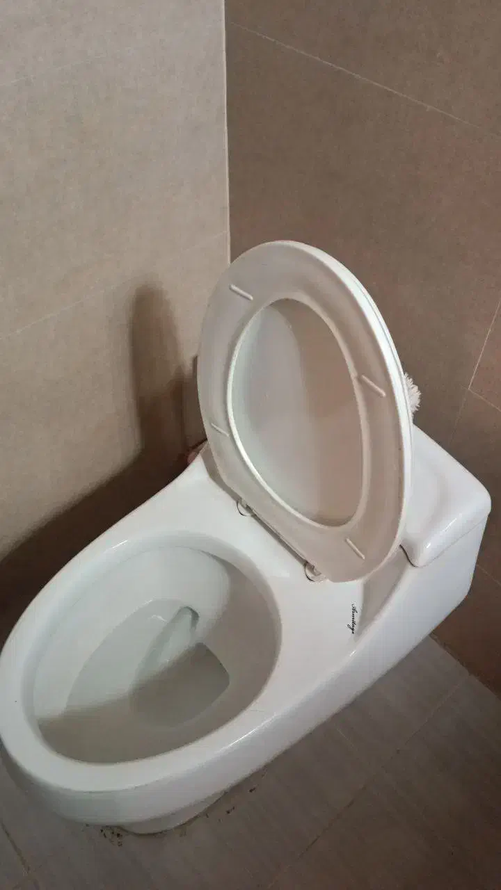 توالت فرنگی|لوازم سرویس بهداشتی|رویان, |دیوار