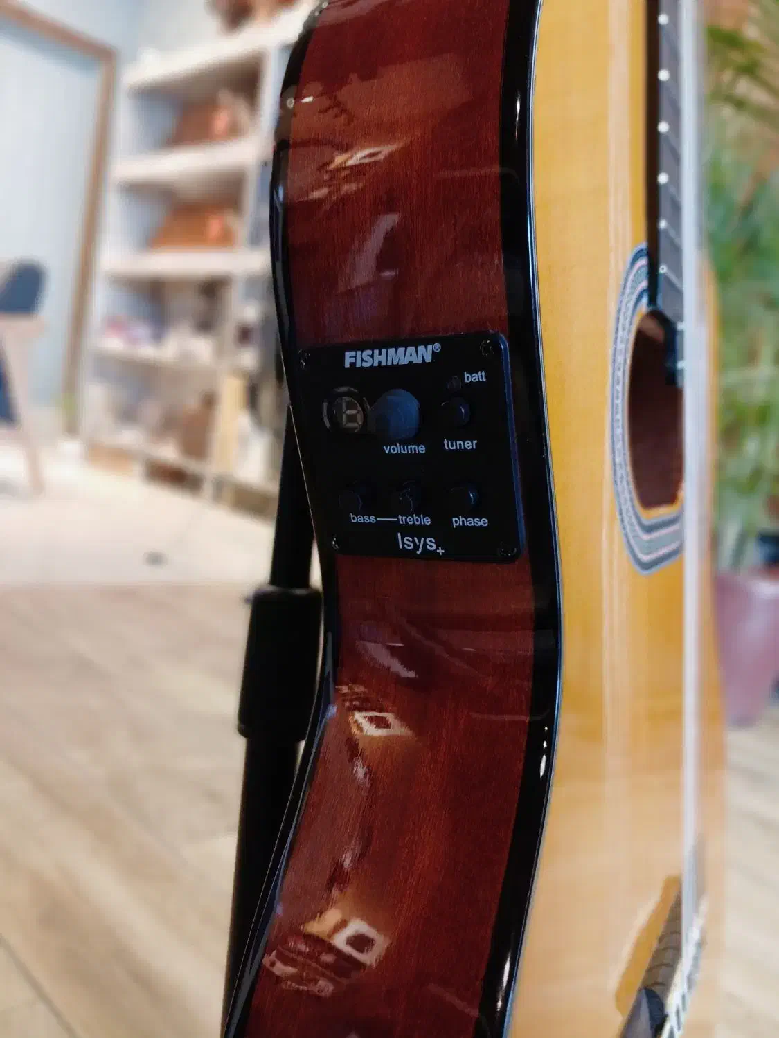 گیتار EDMUNDO|گیتار، بیس، امپلیفایر|قزوین, |دیوار