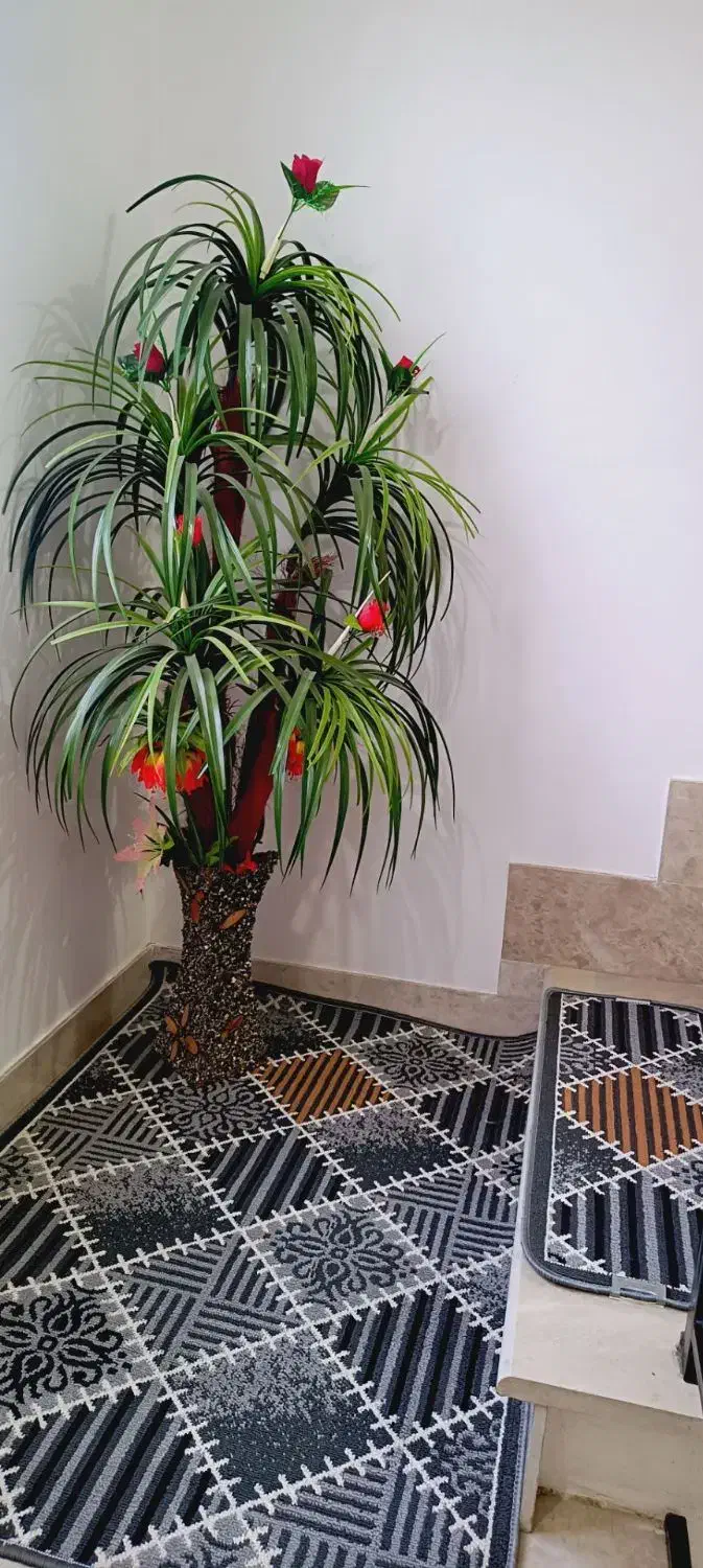 درختچه مصنوعی و جا حنا|گل مصنوعی|اردبیل, |دیوار