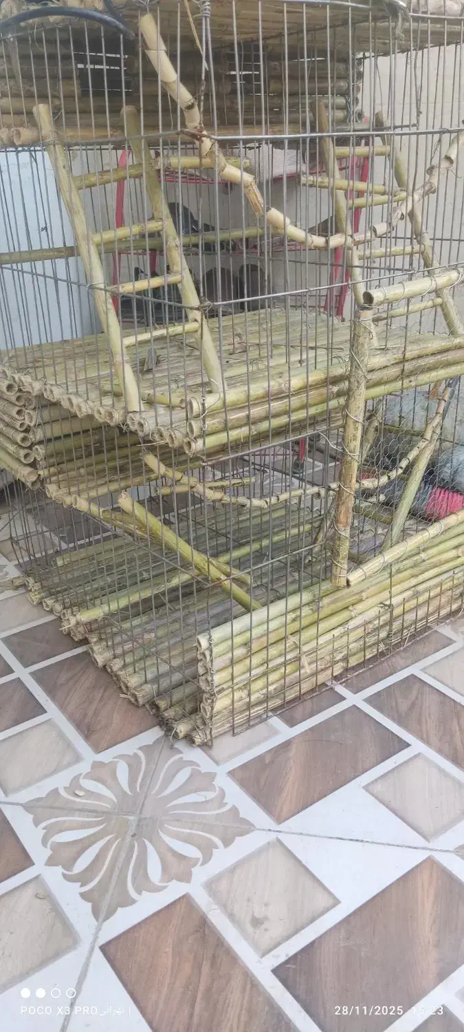 قفس حیوانات|لوازم جانبی حیوانات|صومعه‌سرا, |دیوار