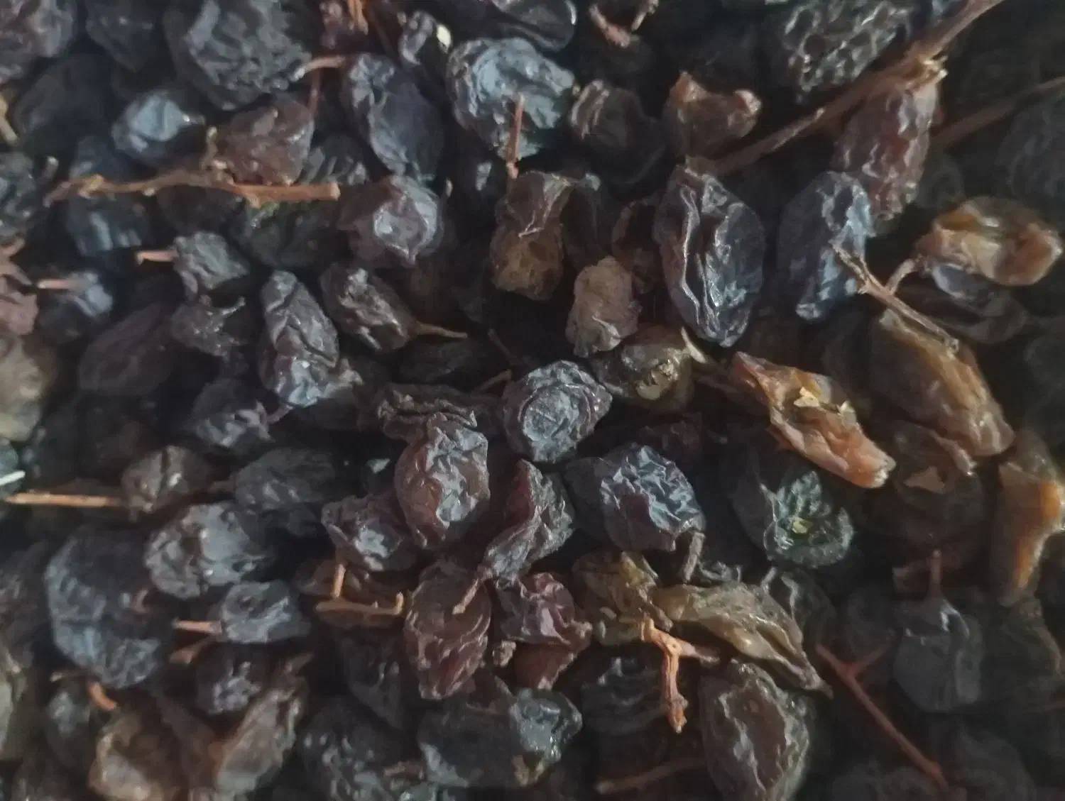 مویز|خوردنی و آشامیدنی|دشمن زیاری, |دیوار