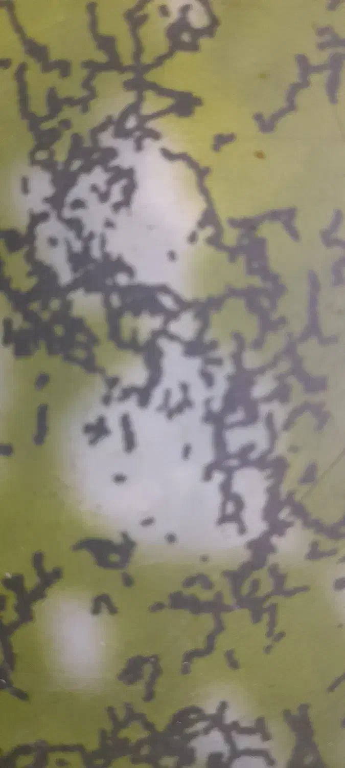 باغچه.منطقه دهگلان|فروش خانه و ویلا|بلبان آباد, |دیوار