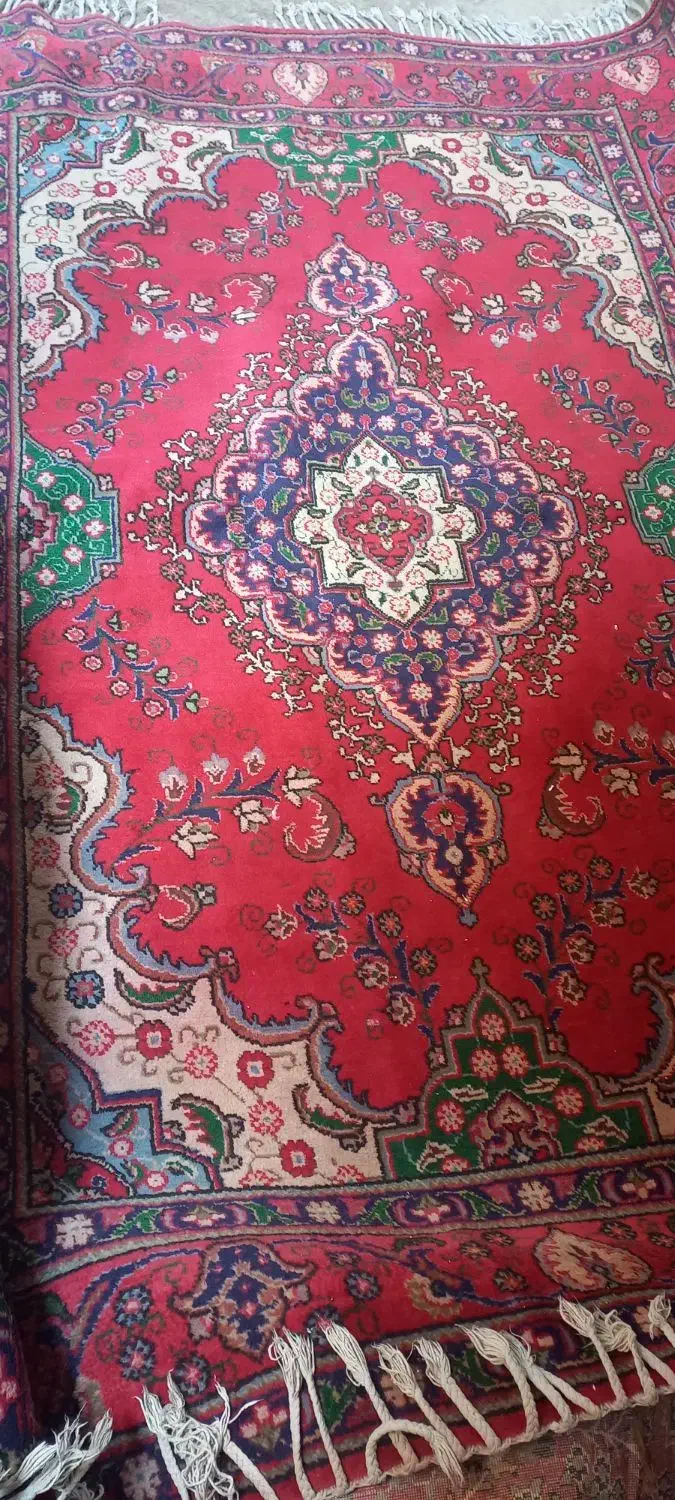 فرش دستباف ۱۲ متری|فرش|میاندوآب, |دیوار