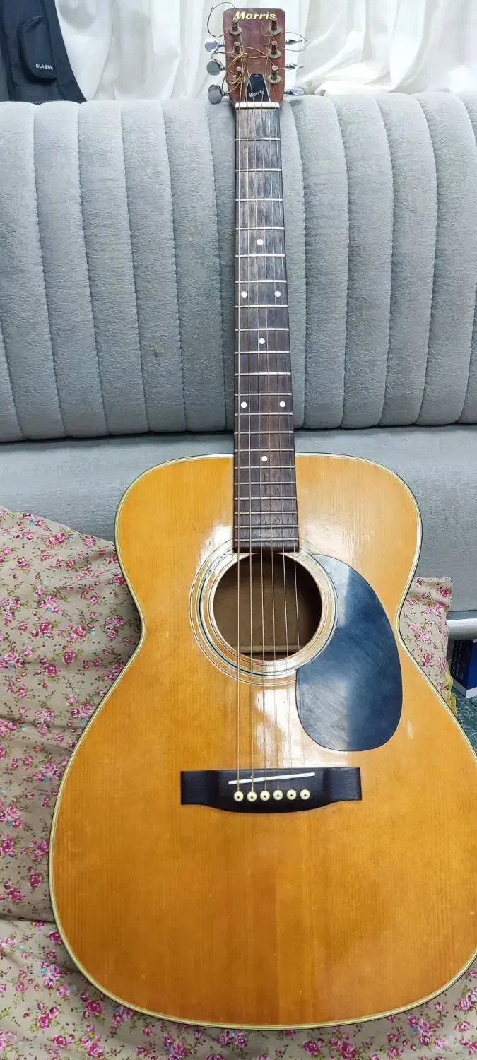 معاوضه و فروش|گیتار، بیس، امپلیفایر|بندرعباس, |دیوار