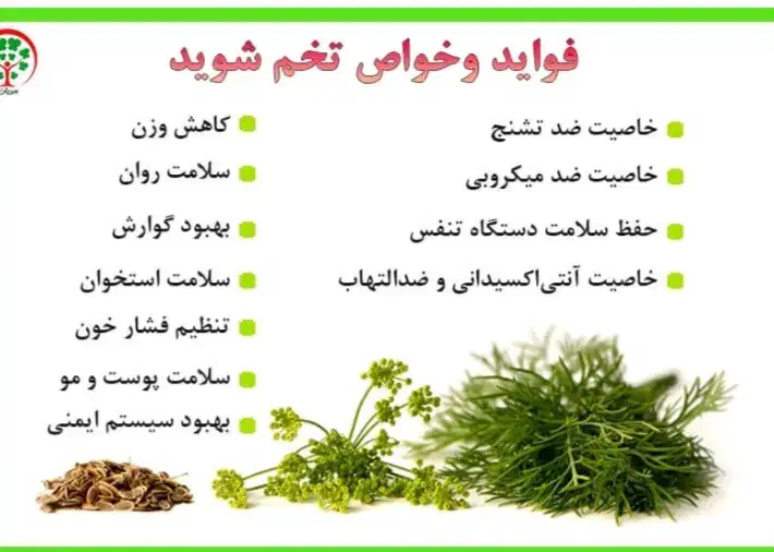 تخم شویدارگانیک|خوردنی و آشامیدنی|پاکدشت, پاکدشت (مامازند)|دیوار