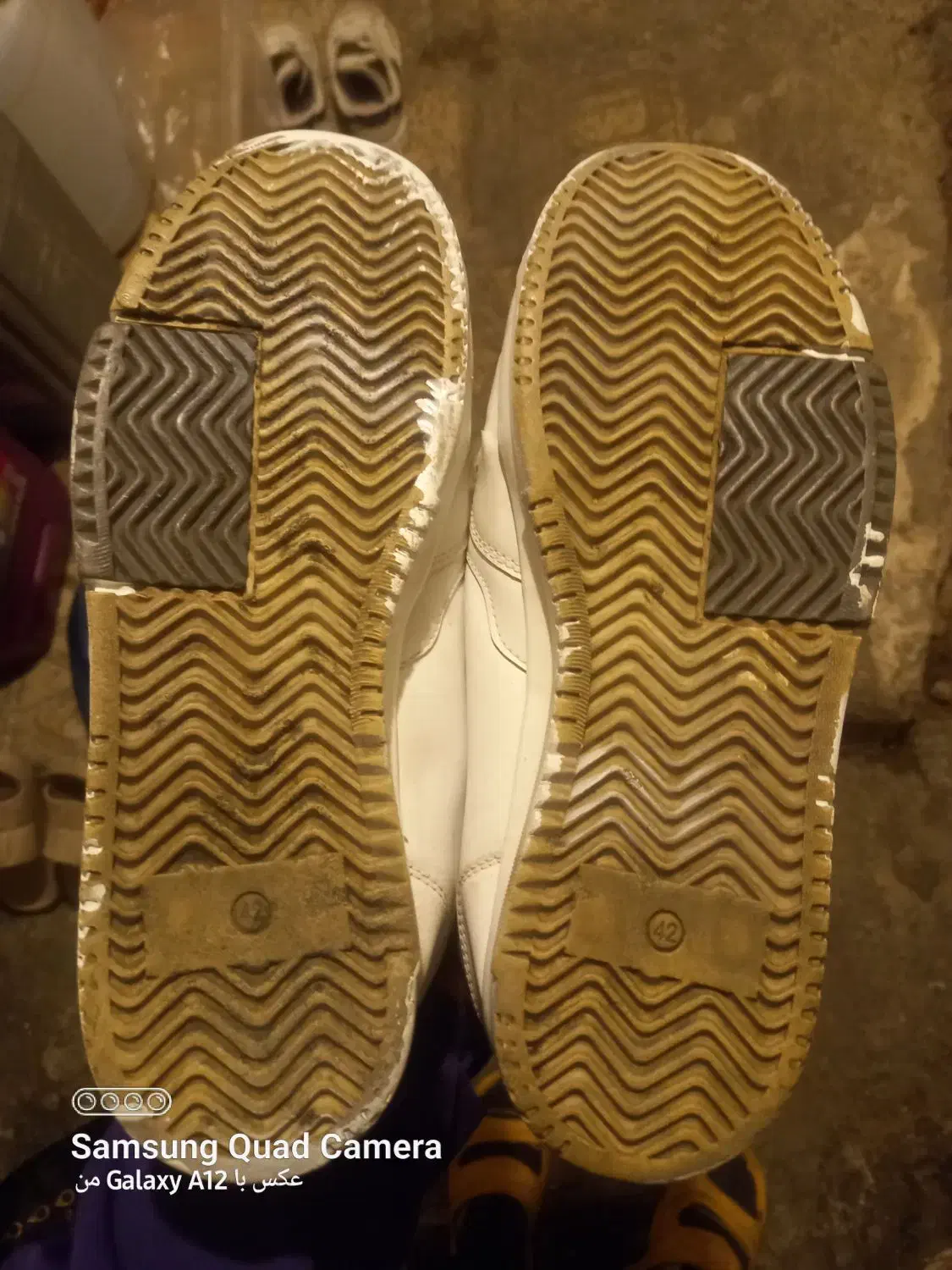 کفش|کیف، کفش، کمربند|کرج, اسلام‌آباد|دیوار