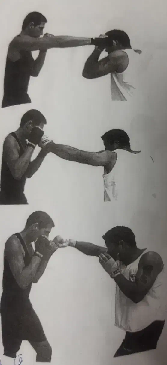 فعالیت های ورزشی  رزمی|خدمات آموزشی|دزفول, |دیوار