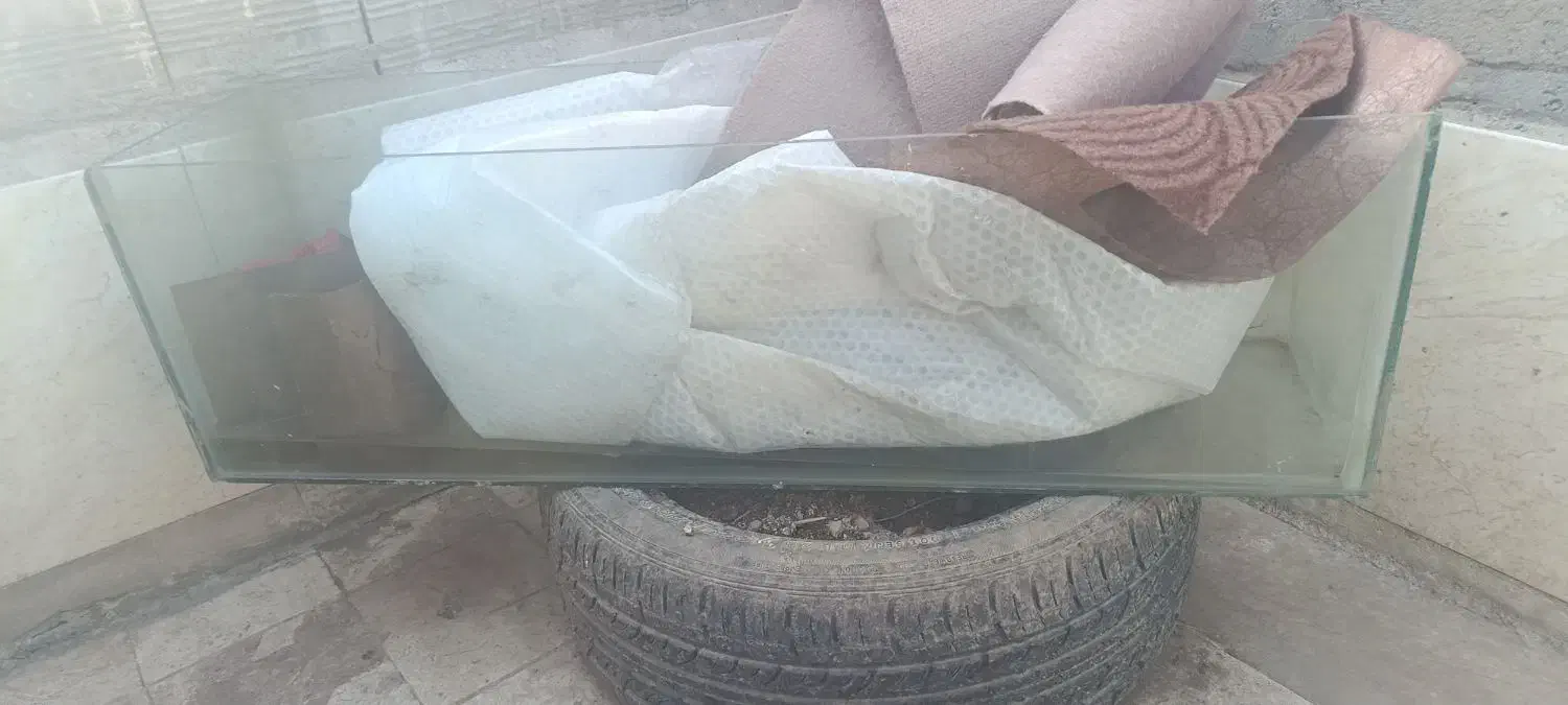 اکوارایوم|ماهی|قم, ولیعصر|دیوار