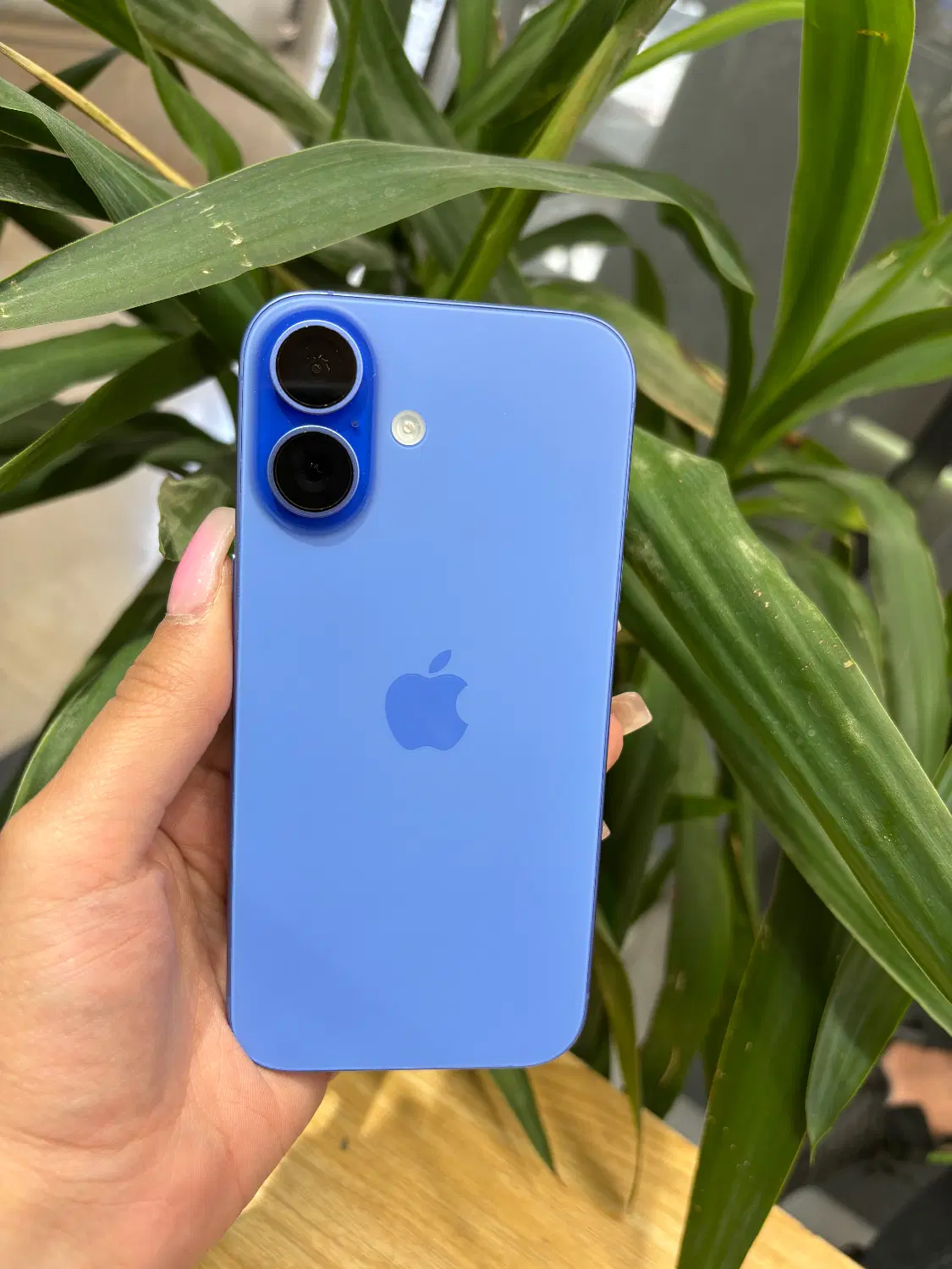 iphone16 normal 128 اپل|موبایل|تهران, گیشا|دیوار