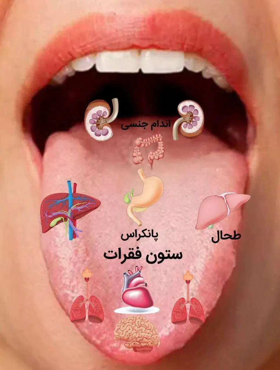 آموزش، طب سنتی|خدمات آموزشی|کهنوج, |دیوار