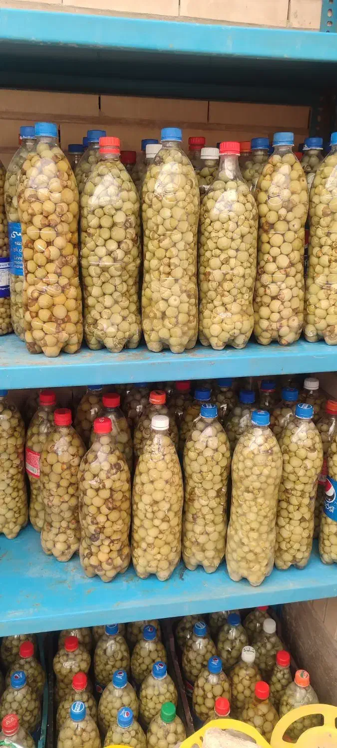 خرده بار دارم واسه یزد ،اردکان|خدمات حمل و نقل|جنت, |دیوار