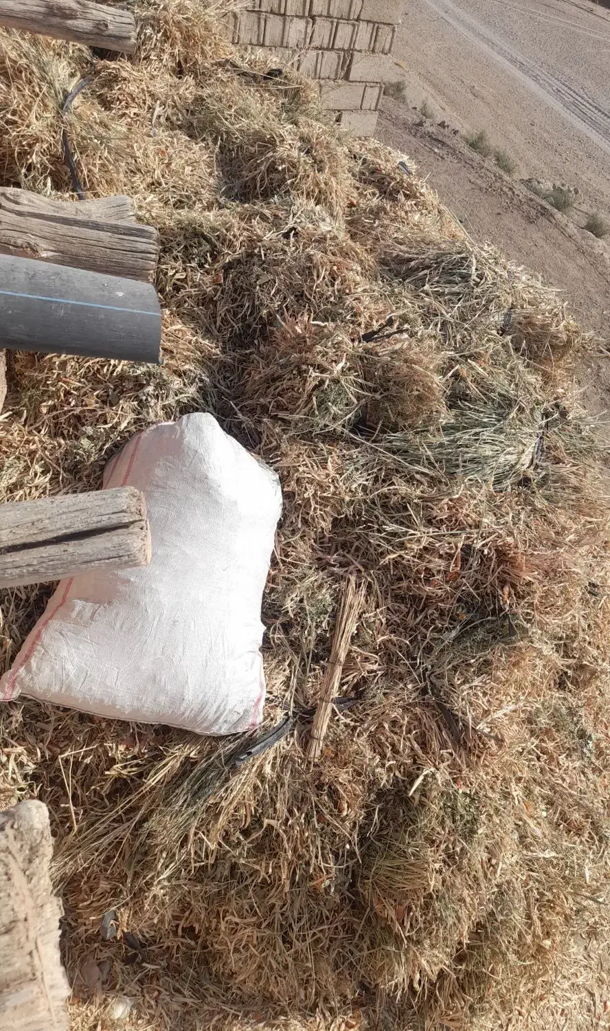 علف|حیوانات مزرعه|زنجانرود, |دیوار