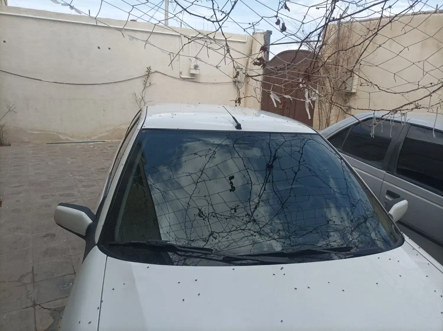 زانتیا89موتور 2000 درحد|خودرو سواری و وانت|خاش, |دیوار