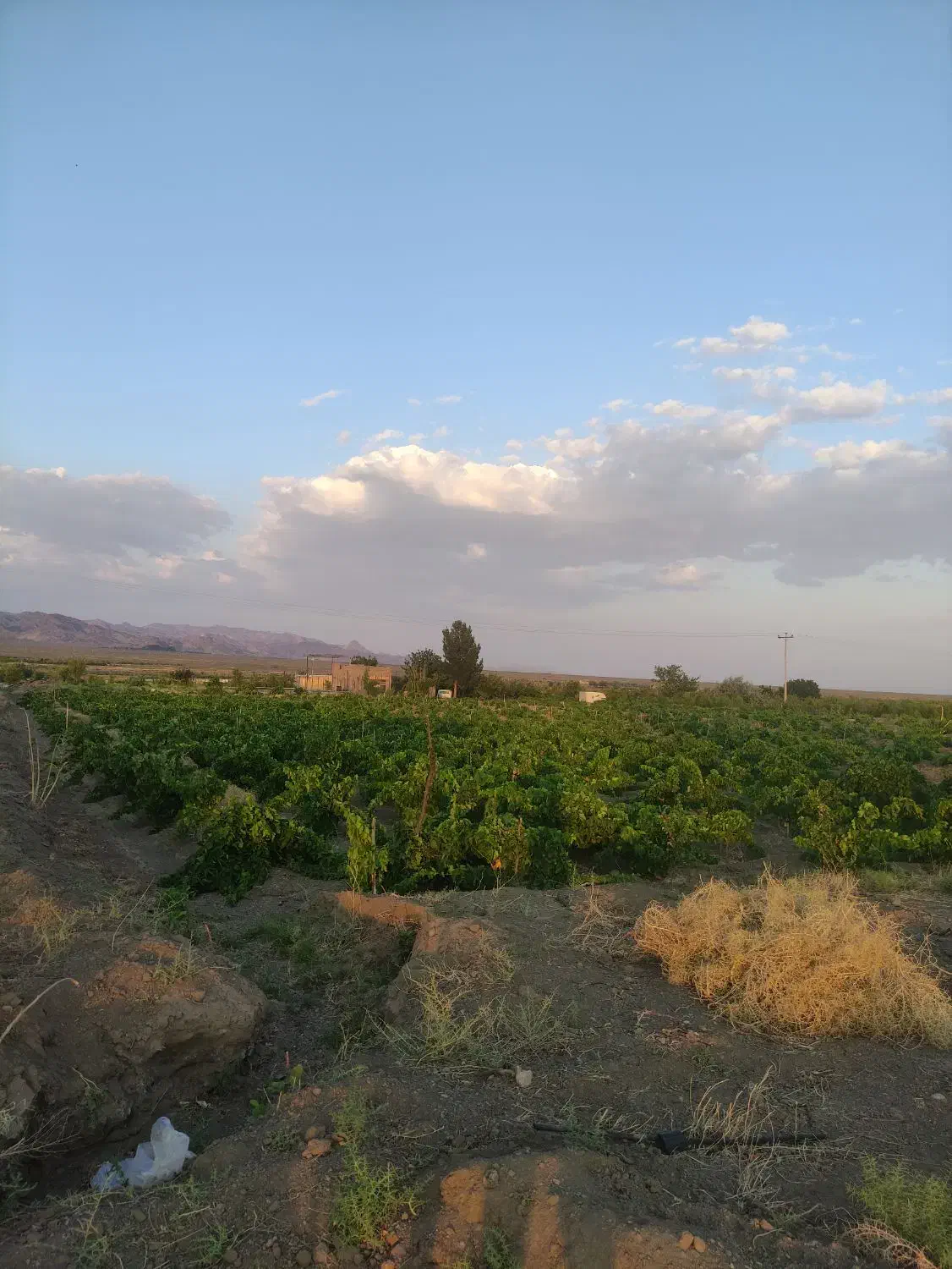 اب عمیق روستای چشمه سیر|فروش دفتر صنعتی، کشاورزی، تجاری|سبزوار, رباط|دیوار