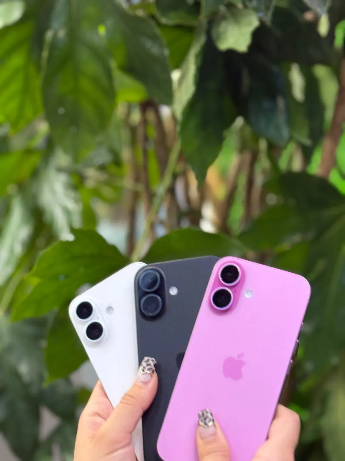 ایفون ۱۶ نرمال iPhone 16 normal|موبایل|تهران, سیمای ایران|دیوار